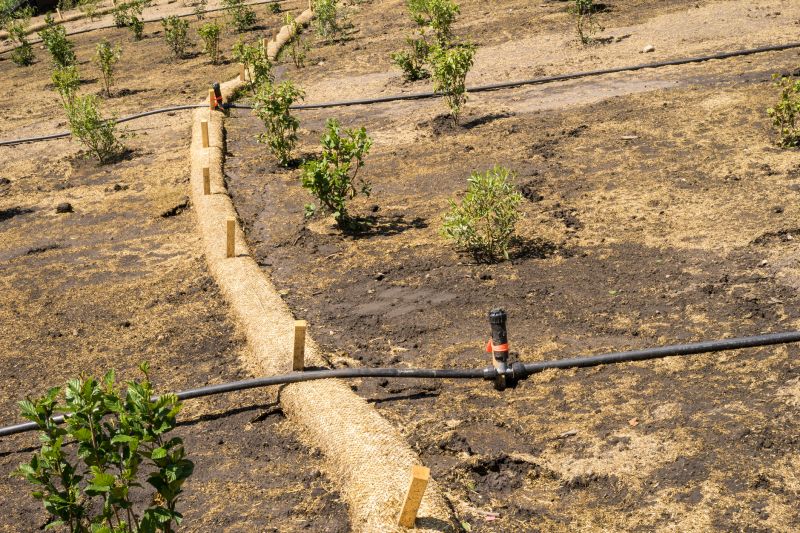 Cost of Pine Straw Delivery — Cost of Pine Straw Delivery