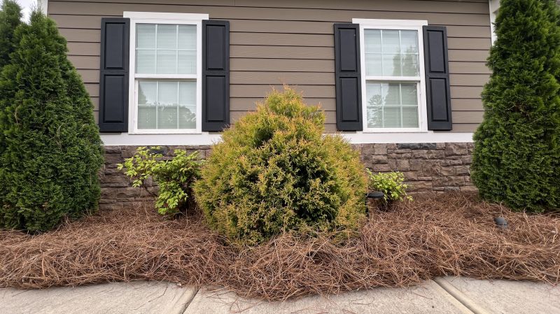 Cost of Pine Straw Delivery — Cost of Pine Straw Delivery