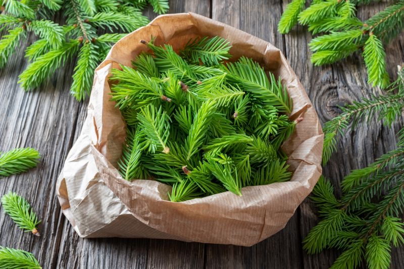Cost of Pine Straw Delivery — Cost of Pine Straw Delivery