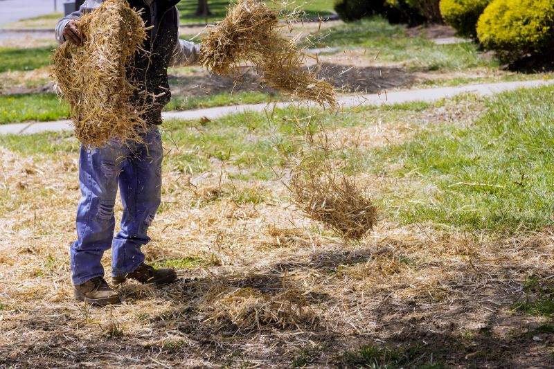 Mulching with Pine Straw