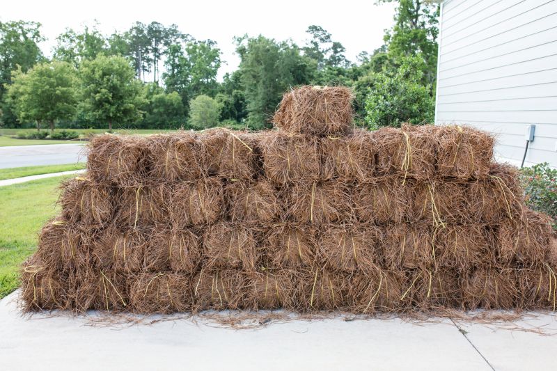 Bulk Pine Straw Stack