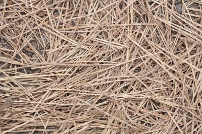 Effective Weed Suppression