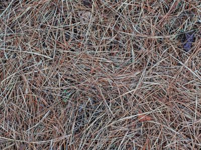 Moisture Retention and Erosion Control